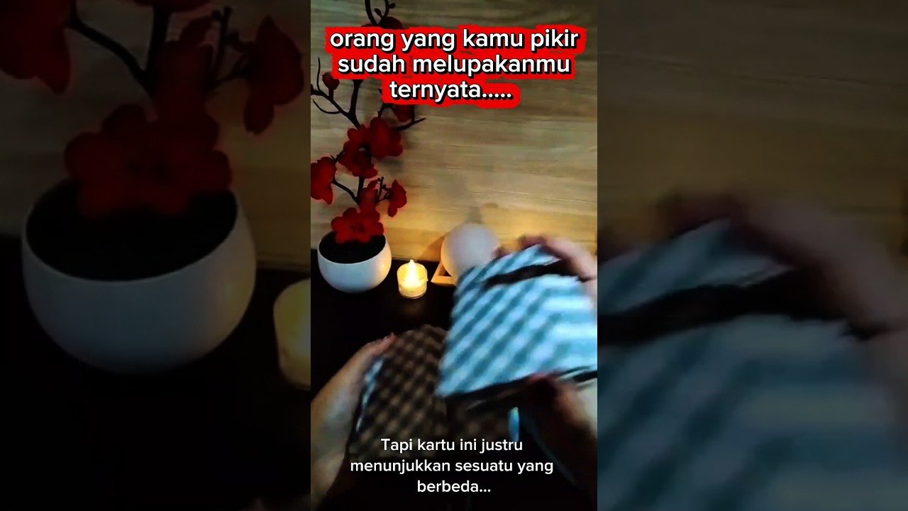 No momento, você está visualizando tidak semua yang kamu pikir itu… pasti #tarot #tarotreading #tarotmotivasi
