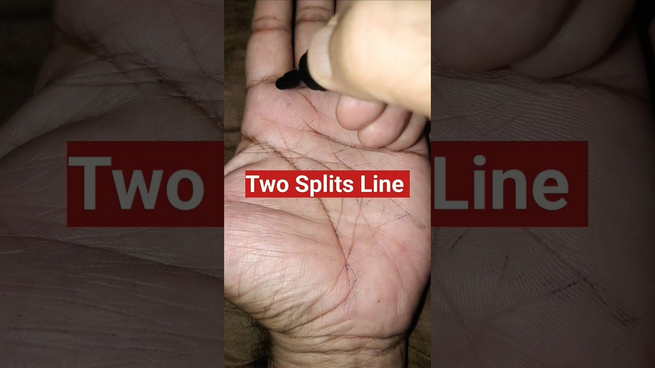 Leia mais sobre o artigo Two Splits Line in Palmistry #astrology #jyotish #palmistry #trending #tarot #sprituality