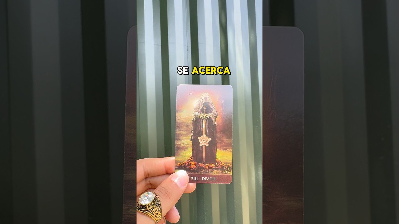 No momento, você está visualizando Una noticia se acerca #familia #tarot #viral  #usa #vidente