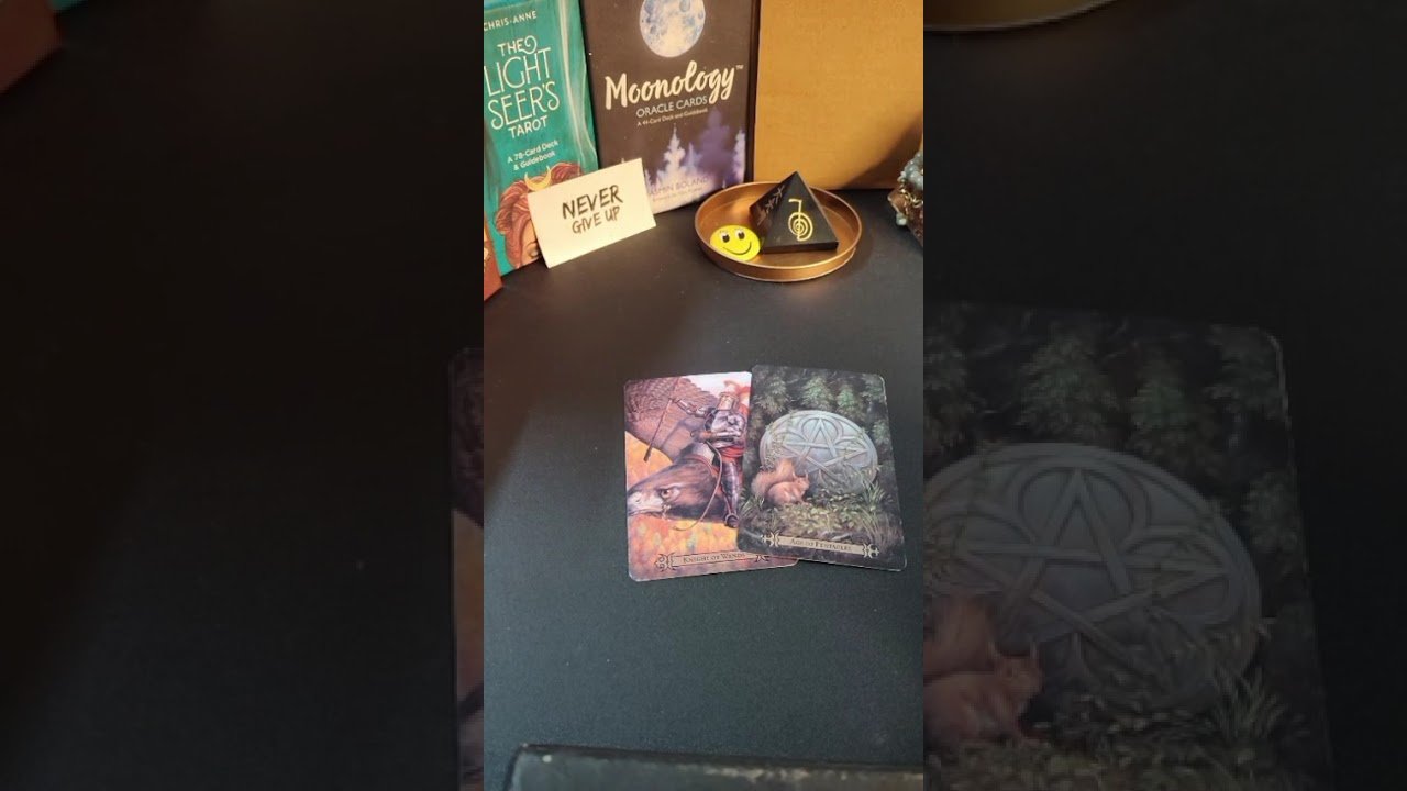 No momento, você está visualizando Universe Message Today! | Daily Tarot Reading Tamil ✨ #tarot #tarotreading #universemessage