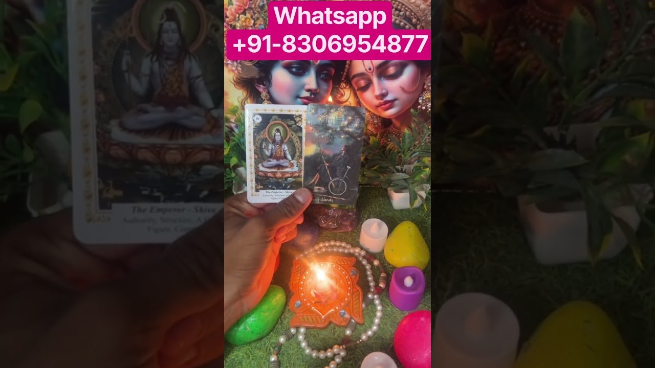 No momento, você está visualizando Whatsapp+91-8306954877 #tarot #relationshipreading #tarotreading #exback #exback #nocontactreading