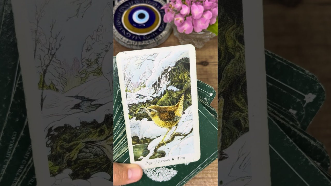 No momento, você está visualizando ❤️ ПОЧЕМУ ОН НЕ ПИШЕТ Margo PRO magic
