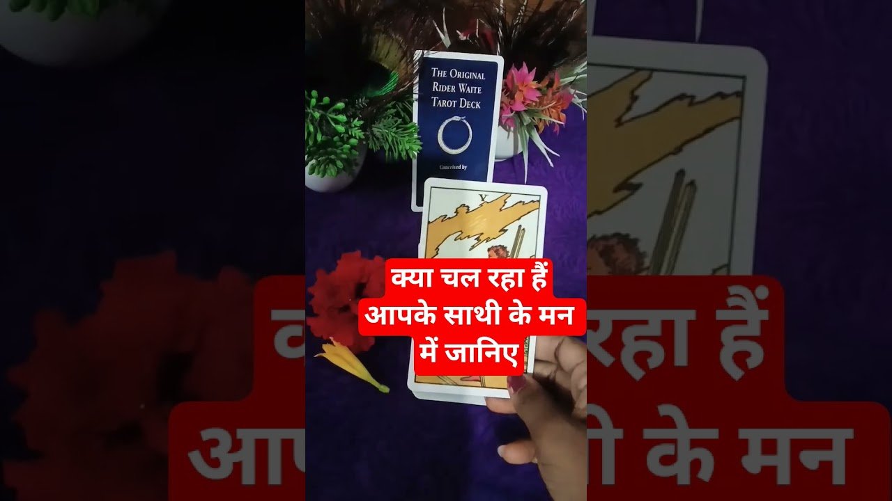 No momento, você está visualizando आपके साथी के मन में क्या चल रहा# #ytshorts #tarot #youtuberchannel #youtubeshorts #cardreading