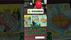 Leia mais sobre o artigo మీ పర్సన్ మీతో ఏం చెప్పాలి అనుకుంటున్నారు??#tarot#trending #viral#shorts #vishwattarot