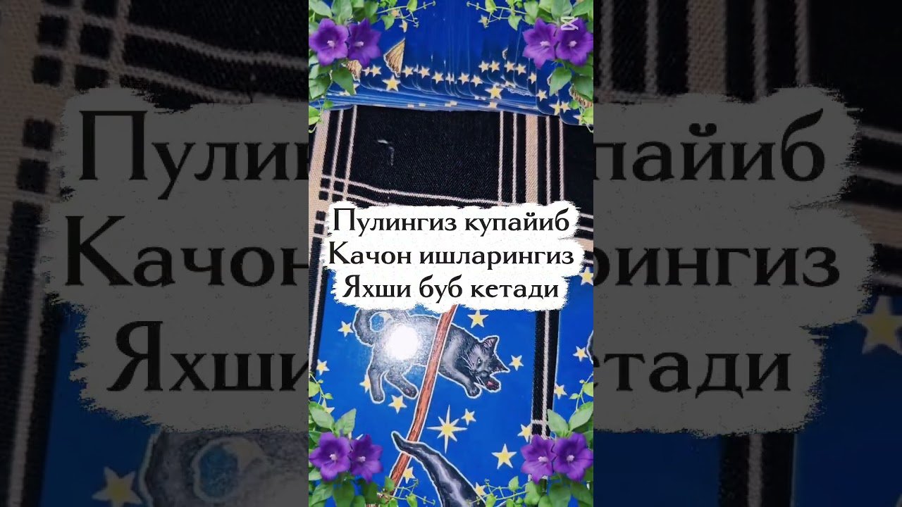 No momento, você está visualizando пулингиз купайиб качон ишларингиз юришиб кетади #tarot #tarotreading #astrology #fol #tarotcards