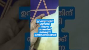 Leia mais sobre o artigo 🦄 അനുഗ്രഹമുണ്ട് #angeloracle #malayalmtarotreading #tarot