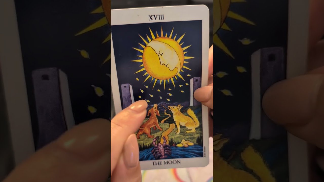 No momento, você está visualizando 🔥 Tarotmessage 🔮 #tarot #kartenlegung #sternzeichen