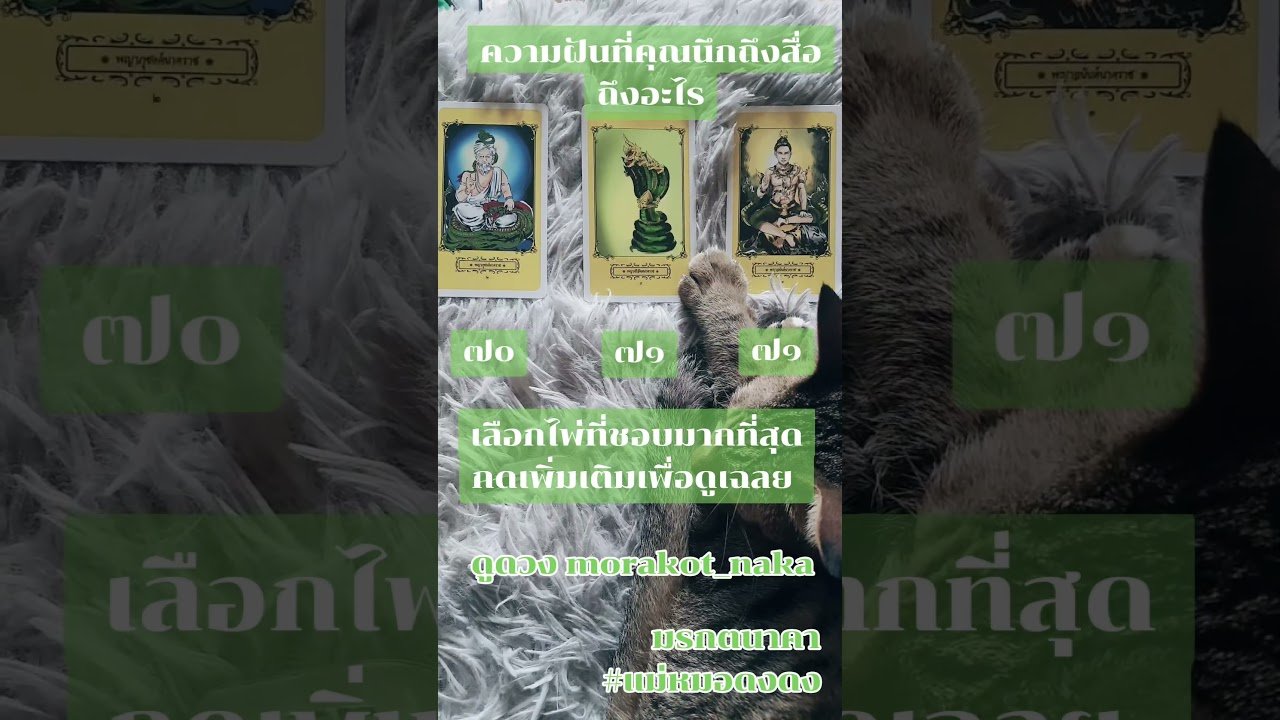 No momento, você está visualizando #ความฝันที่คุณนึกถึงสื่อถึงอะไร #มรกตนาคา #tarot  #morakotnaka #astrology @morakotnaka