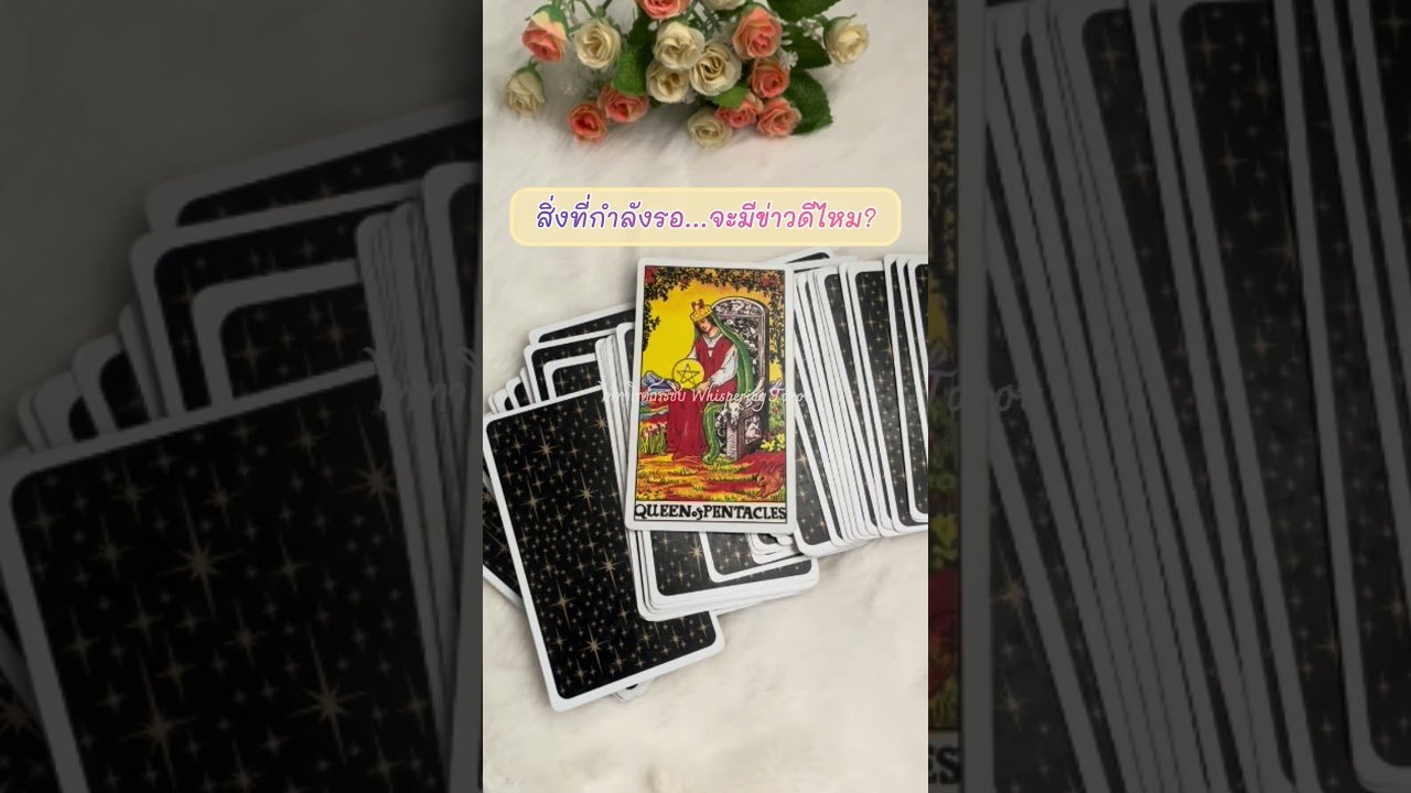 No momento, você está visualizando ข่าวดีที่คุณกำลังรอ🌿✨#tarot