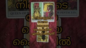 Leia mais sobre o artigo മനസ്സിന് മുറിവേൽപ്പിക്കാത്ത ആളുകളെ തിരഞ്ഞെടുക്കൂ#tarot