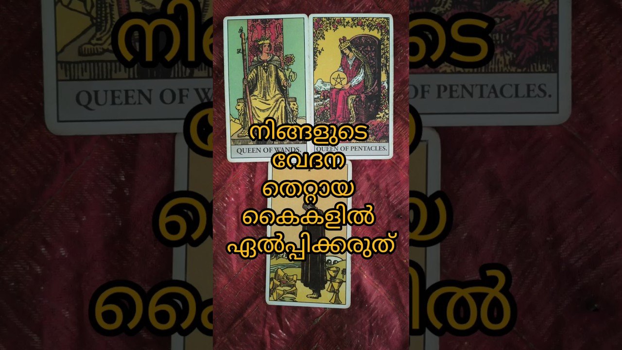 No momento, você está visualizando മനസ്സിന് മുറിവേൽപ്പിക്കാത്ത ആളുകളെ തിരഞ്ഞെടുക്കൂ#tarot