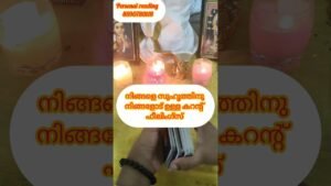 Leia mais sobre o artigo നിങ്ങളെ സുഹൃത്തിനെ നിങ്ങളോട് ഉള്ള കറന്റ്‌ ഫീലിംഗ്സ് 🙏 #timelessreading #collectivereading #tarot