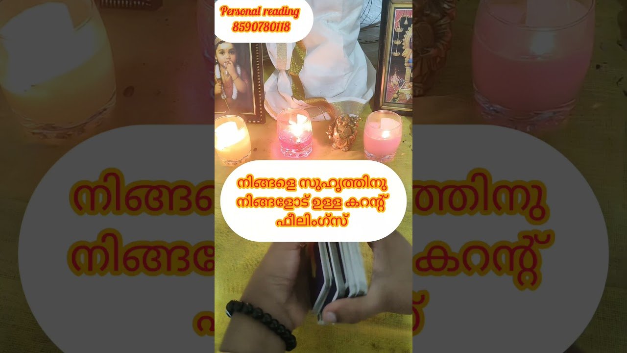 No momento, você está visualizando നിങ്ങളെ സുഹൃത്തിനെ നിങ്ങളോട് ഉള്ള കറന്റ്‌ ഫീലിംഗ്സ് 🙏 #timelessreading #collectivereading #tarot