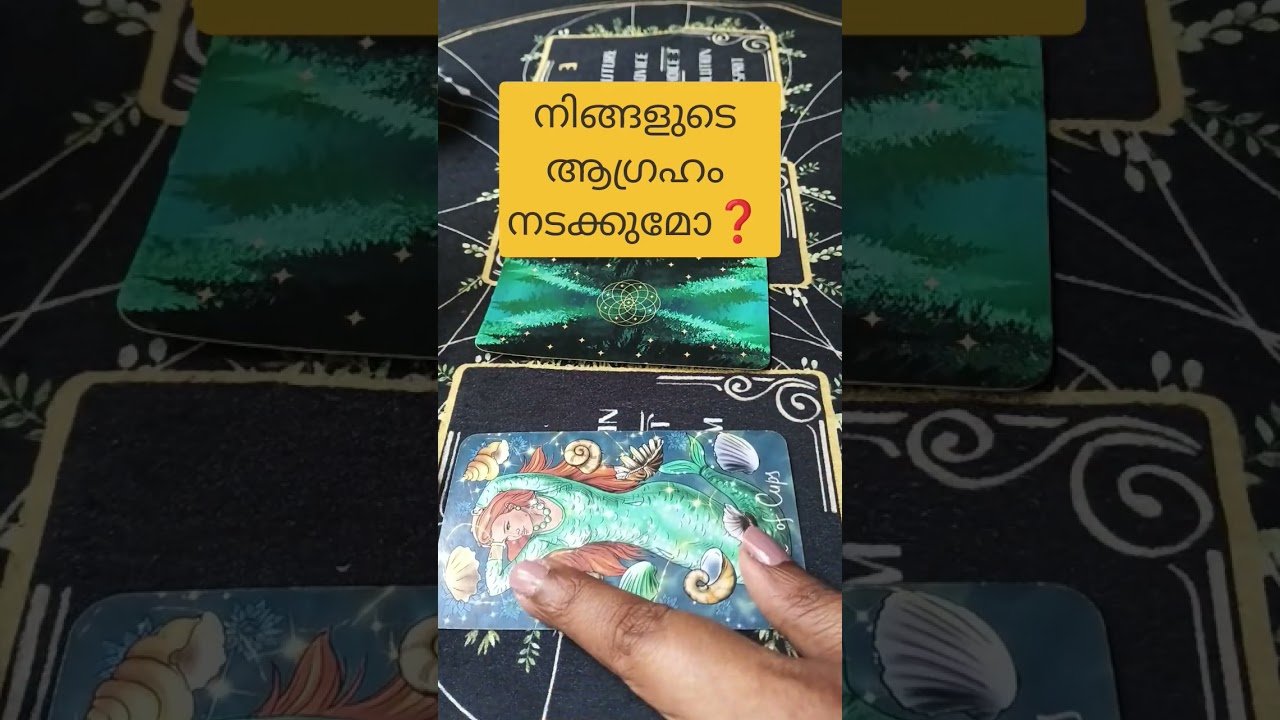No momento, você está visualizando നിങ്ങളുടെ ആഗ്രഹം നടക്കുമോ ❓ #tarot #tarotreading #tarotreadingmalayalam