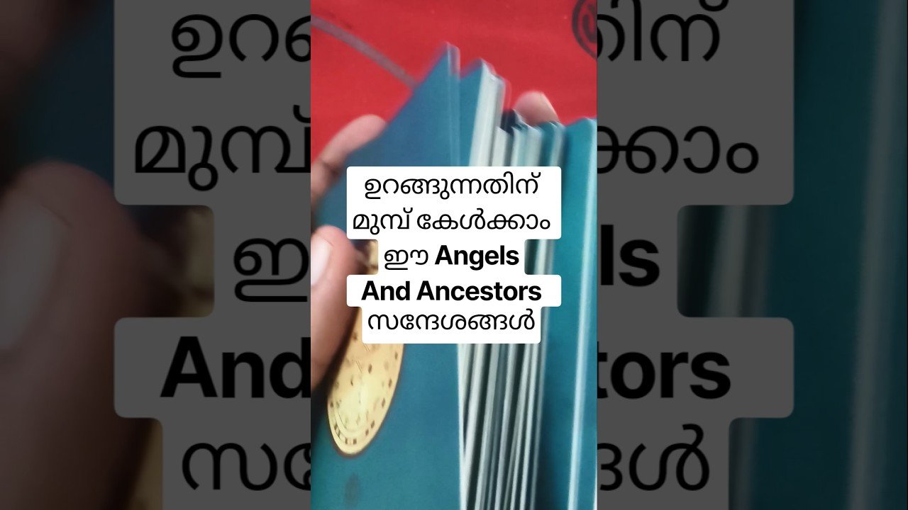 No momento, você está visualizando ഉറങ്ങുന്നതിന് മുമ്പ് കേൾക്കാൻ Ancestors നൽകുന്ന സന്ദേശങ്ങൾ #angeloracle #malayalmtarotreading #tarot