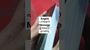 Leia mais sobre o artigo ഉറങ്ങുന്നതിന് മുമ്പ് കേൾക്കുവാൻ ഒരു Angel message #angeloracle #malayalmtarotreading #tarot
