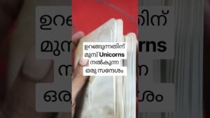 Leia mais sobre o artigo ഉറങ്ങുന്നതിന് മുമ്പ് കേൾക്കൂ ഈ Unicorn message #angeloracle #malayalmtarotreading #tarot
