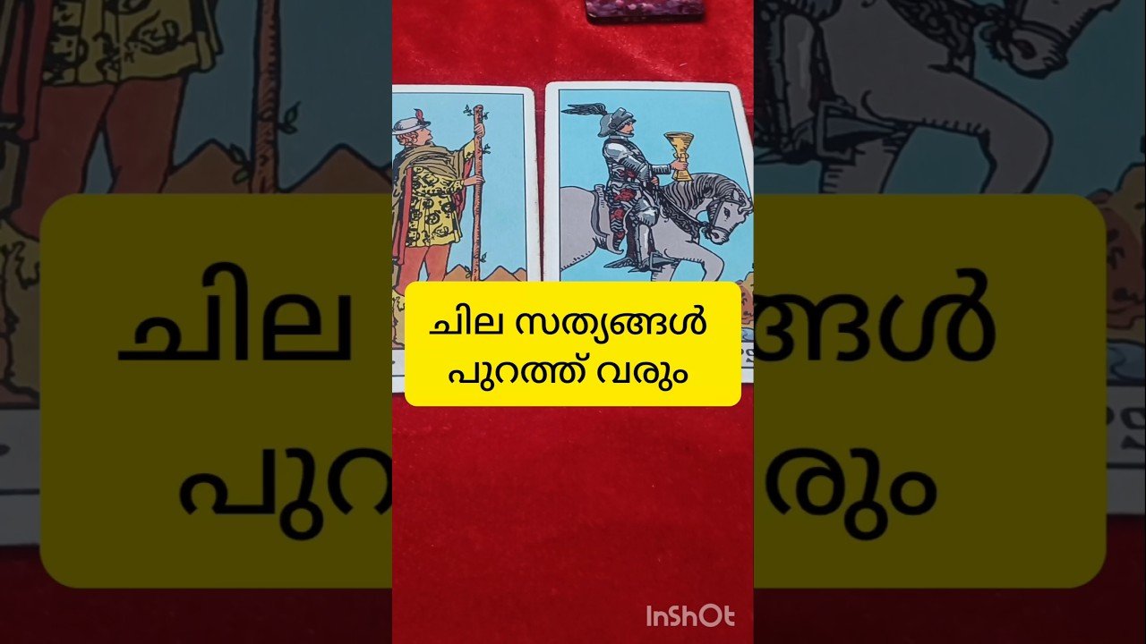 No momento, você está visualizando സത്യങ്ങൾ മനസ്സിലാക്കാൻ #tarot #shortvideo #shortsfeed