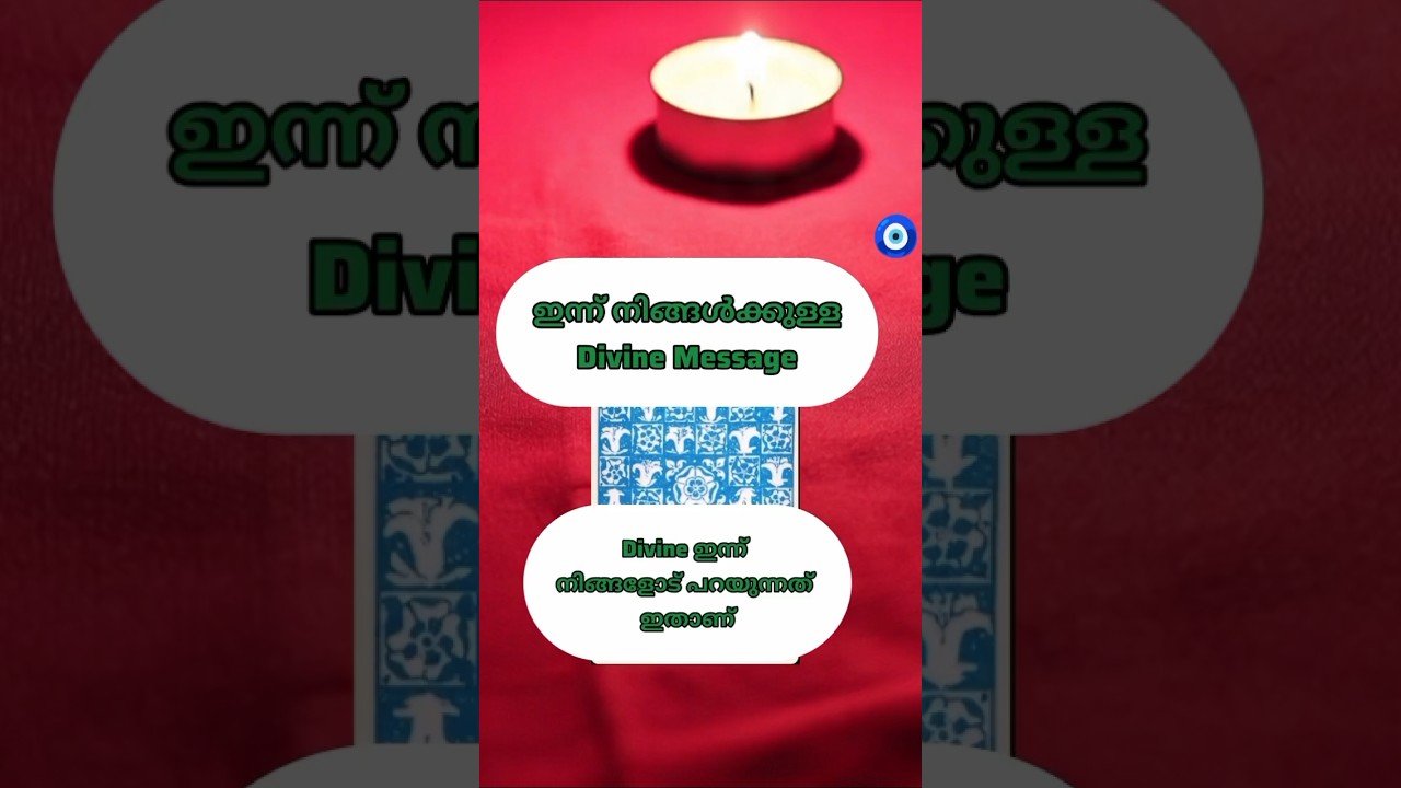 No momento, você está visualizando ഇന്ന് നിങ്ങൾക്കുള്ള Divine Message ✨🧿#tarot #shorts