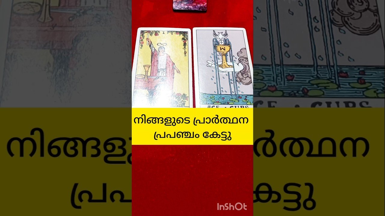 No momento, você está visualizando പ്രാർത്ഥനക്കുള്ള ഉത്തരം #tarot #shortvideo #shortsfeed