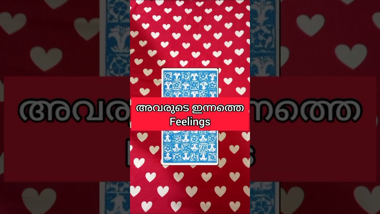 No momento, você está visualizando അവരുടെ ഇന്നത്തെ നിങ്ങളോടുള്ള feelings♦️🧿🥰💕#shorts #shortsfeed #tarot #astrology