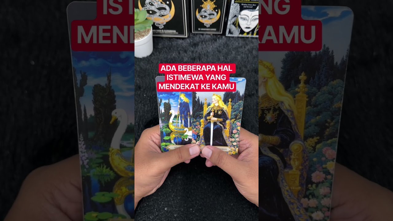 No momento, você está visualizando ADA BEBERAPA HAL ISTIMEWA YANG MENDEKAT KE KAMU #tarot #tarotreading