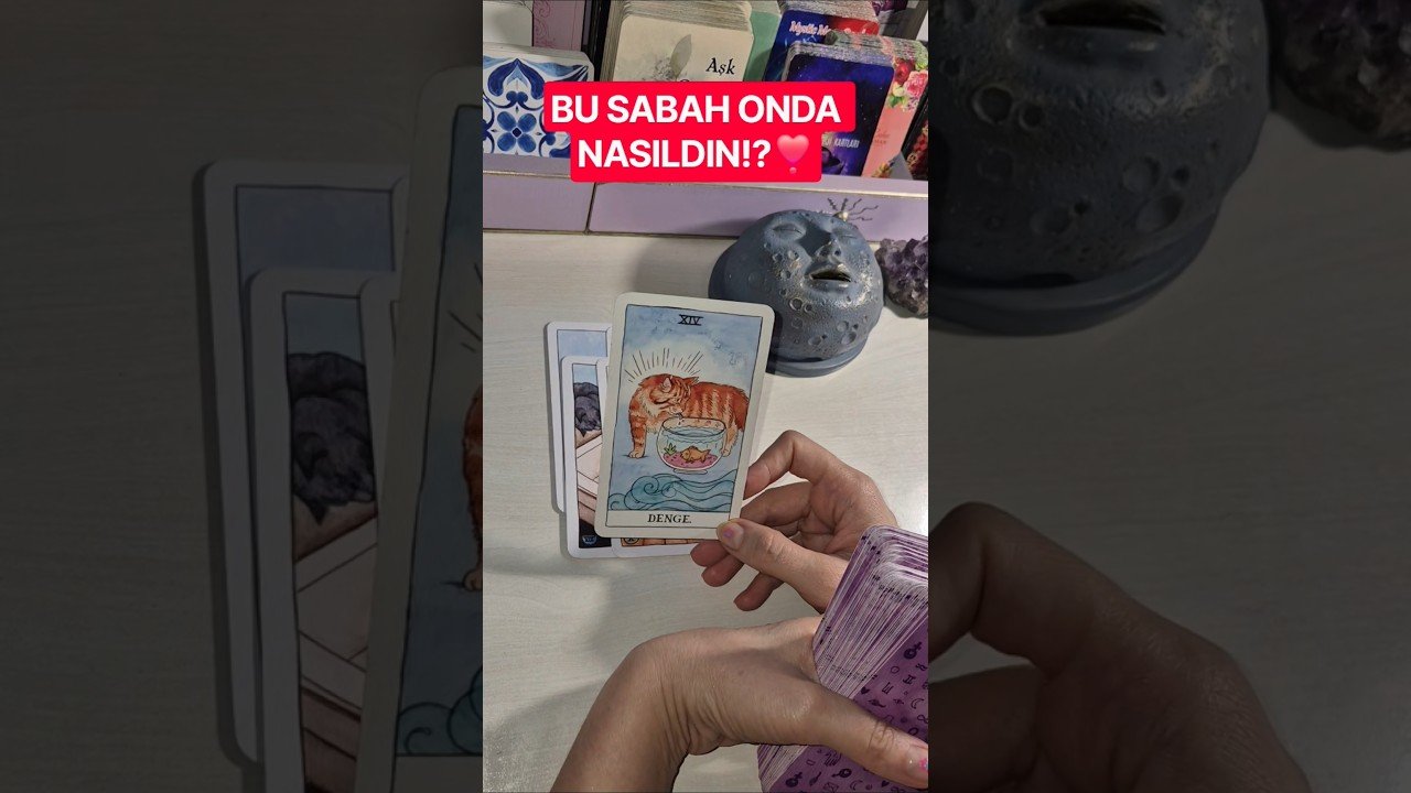 No momento, você está visualizando AKLINDAKİ KİŞİ BU SABAH NE DÜŞÜNDÜ NE HİSSETTİ❣️ #tarot #tarotreading