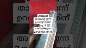 Leia mais sobre o artigo ജോറായി വീട്ടു സാധനങ്ങൾ വാങ്ങാൻ കഴിയും #angeloracle #malayalmtarotreading #tarot