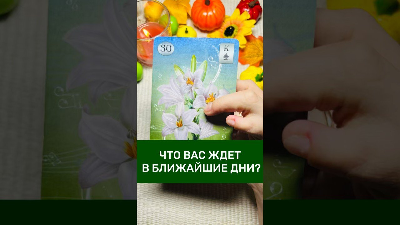 No momento, você está visualizando ✨Что Вас ждет в ближайшие дни…🌓 #tarot #таролог #онлайгадание