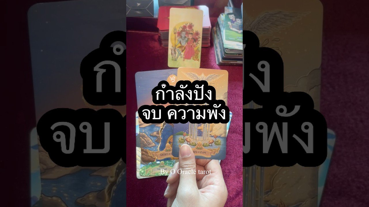 No momento, você está visualizando ชีวืตกำลังปัง #tarot #ooracletarot #pickacard #pickacard #ดูดวงไพ่ยิปซี #tarotreader
