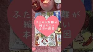 Leia mais sobre o artigo ふたりの距離が縮まらない本当の原因🎀🔮#恋愛占い#タロット#個人鑑定※無断転載、無断転用禁止