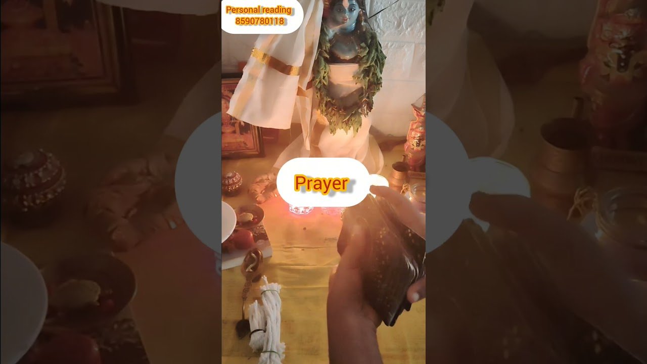 No momento, você está visualizando bagavante sandhesham 🙏 #timelessreading #collectivereading #tarot