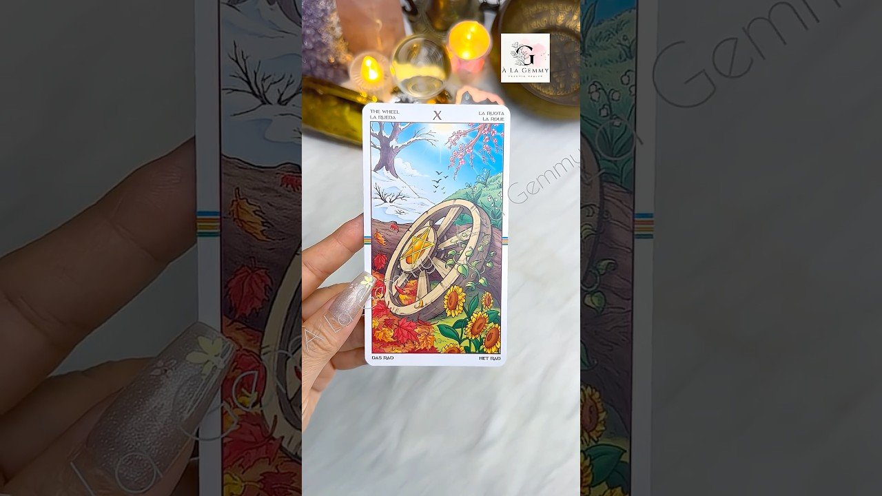 No momento, você está visualizando CHUYỆN TÌNH YÊU CỦA BẠN ☘️❤️🌷🍀 #tarot #alagemmy #love