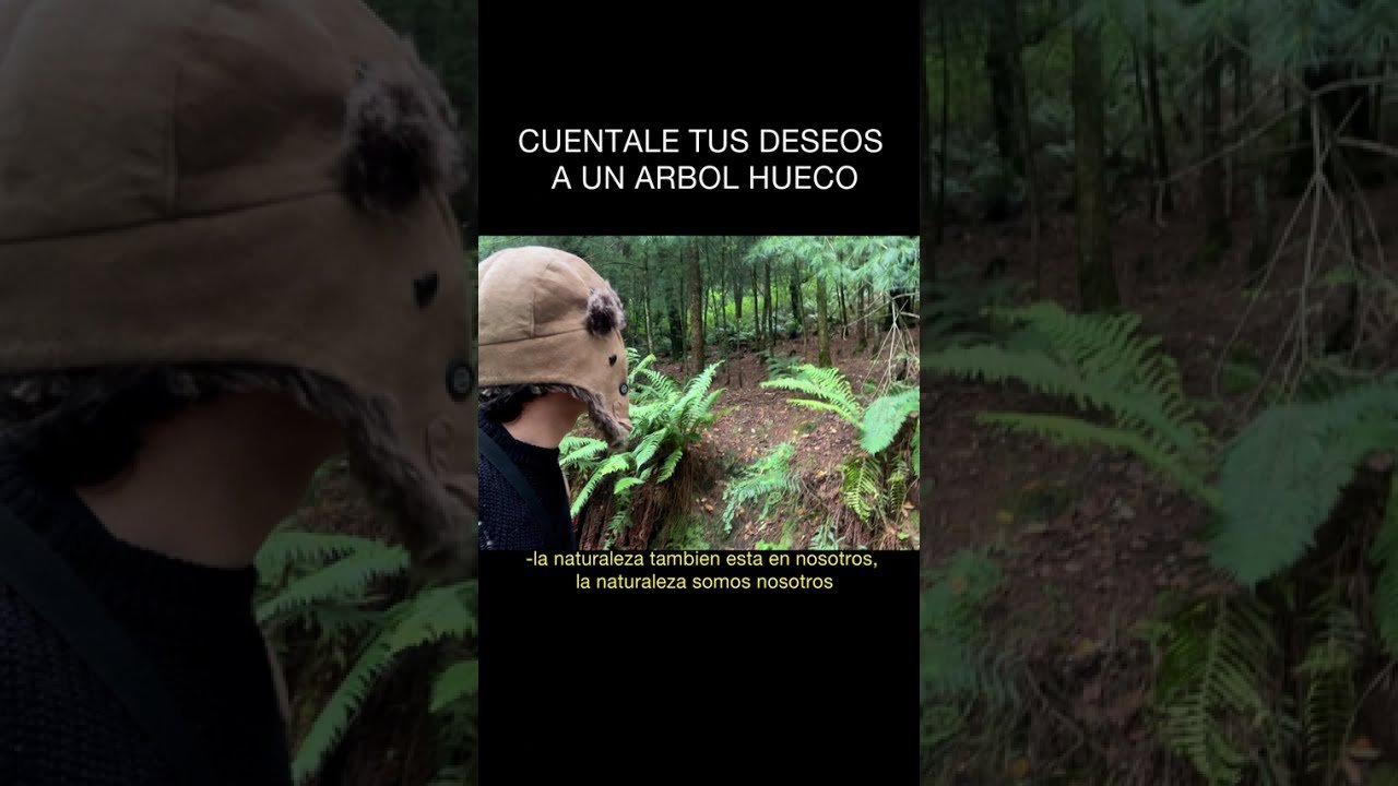 No momento, você está visualizando CUENTALE TUS DESEOS A UN ARBOL HUECO #misterio  #datoscuriosos  #folklore  #tarot  #espiritualidad