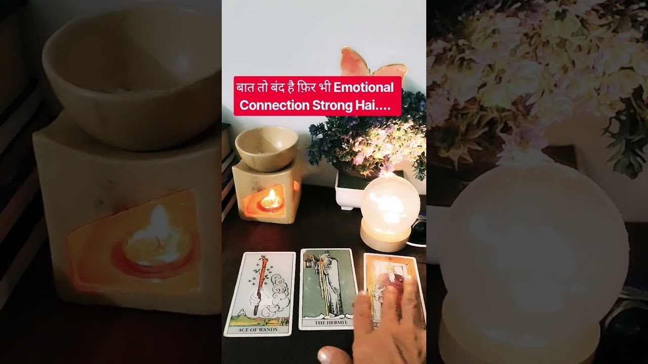 No momento, você está visualizando current feelings #tarot#shortsfeed #divine