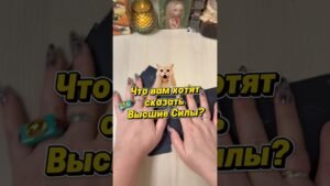 Leia mais sobre o artigo Что вам хотят сказать Высшие Силы? #расклад #tarot #гадание #послание #ясновидение