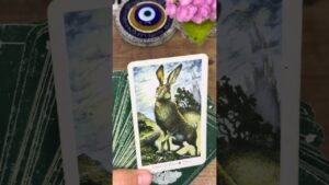 Leia mais sobre o artigo 🧨 ПРАВДА, КОТОРУЮ ТЫ НЕ ОЖИДАЛ(А) Margo PRO magic