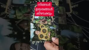 Leia mais sobre o artigo Divine Message For You 🦋🌈🧿 #tarot #tarotreading #tarotreadingmalayalam