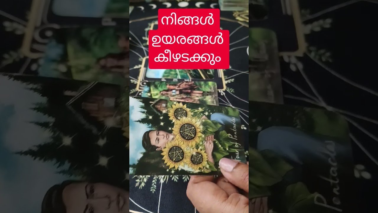 No momento, você está visualizando Divine Message For You 🦋🌈🧿 #tarot #tarotreading #tarotreadingmalayalam