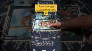 Leia mais sobre o artigo Divine Message for You 🦋🌈🧿 #tarot #malayalamtarot #tarotreading