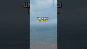 Leia mais sobre o artigo El hijo que tanto amas lleva un camino especial #tarot #usa #vidente #viral #fyp