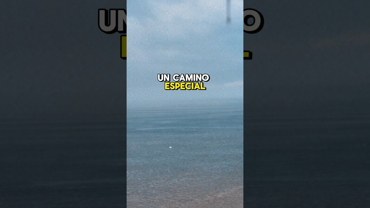 No momento, você está visualizando El hijo que tanto amas lleva un camino especial #tarot #usa #vidente #viral #fyp