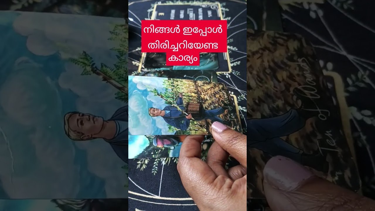 No momento, você está visualizando It’s Deadline 🙏🌈🦋🧿 #tarot #tarotreading #malayalamtarotreading #tarotreadingmalayalam