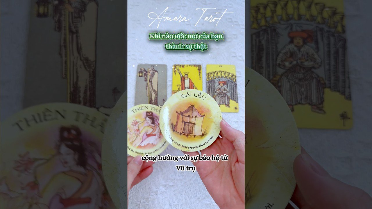 No momento, você está visualizando Khi nào ước mơ của bạn thành sự thật 🌻 #tarot