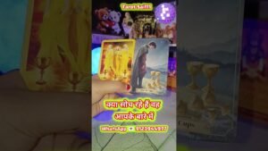 Leia mais sobre o artigo #love #tarot #reels #shorts #ytshorts #viral