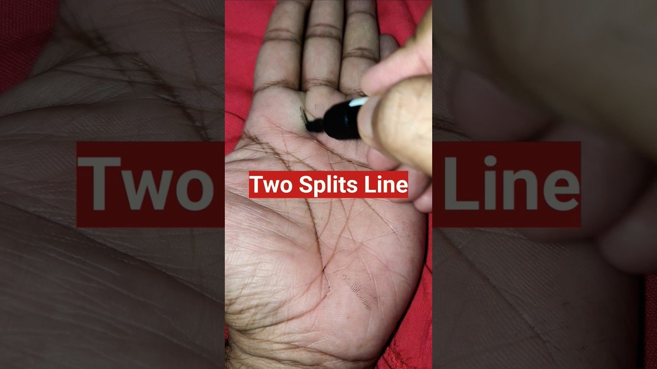 No momento, você está visualizando Meaning of Two Splits Line in Palmistry #astrology #jyorish #palmistry #tarot #tarotreading