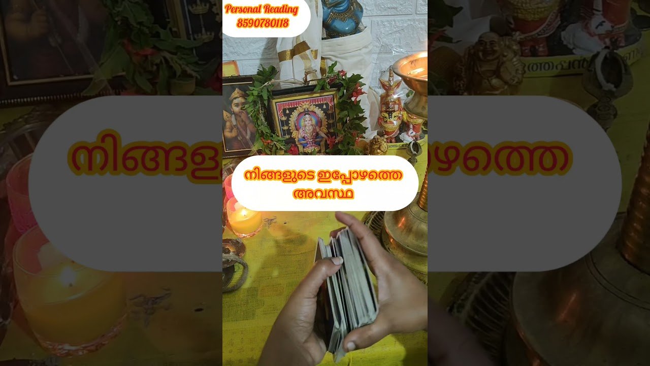 No momento, você está visualizando nigallude ippozhathe avastha #timelessreading #collectivereading #tarot