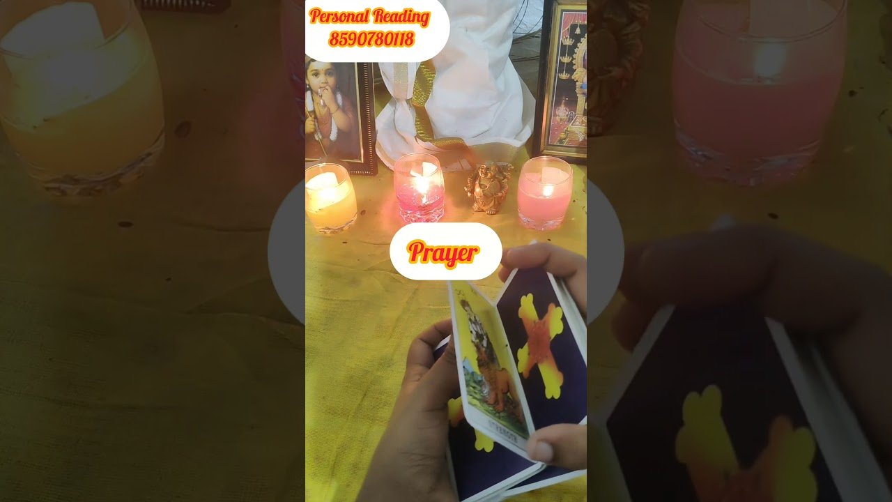 No momento, você está visualizando nigallude relationship aduthathyi enth sambavikunnu🙏 #timelessreading #collectivereading #tarot