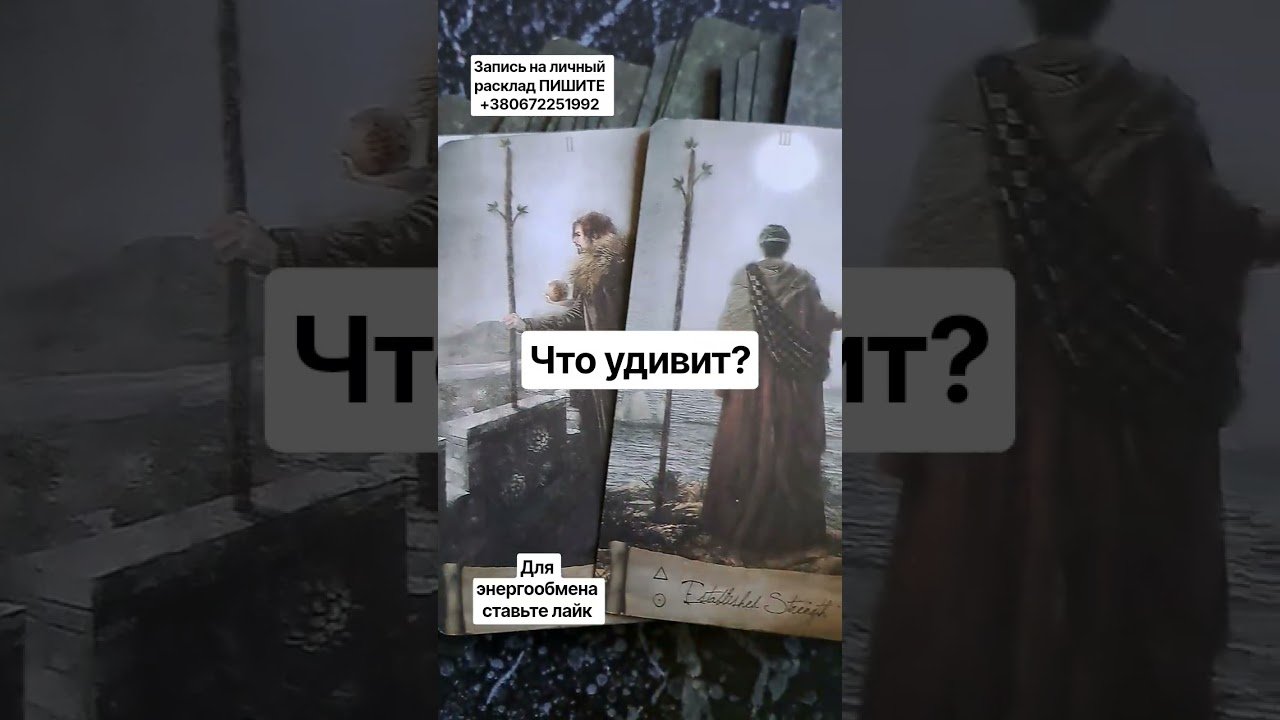 No momento, você está visualizando ты неожидала #таро #tarot #гадание #ворожіння #эзотерика ##tarot #tarotcards