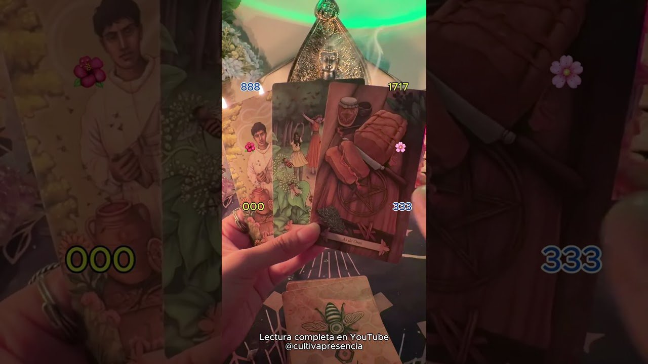 No momento, você está visualizando No es casualidad 💫🕯️🤍 #Manifestar #Universo #cultivapresencia #tarot